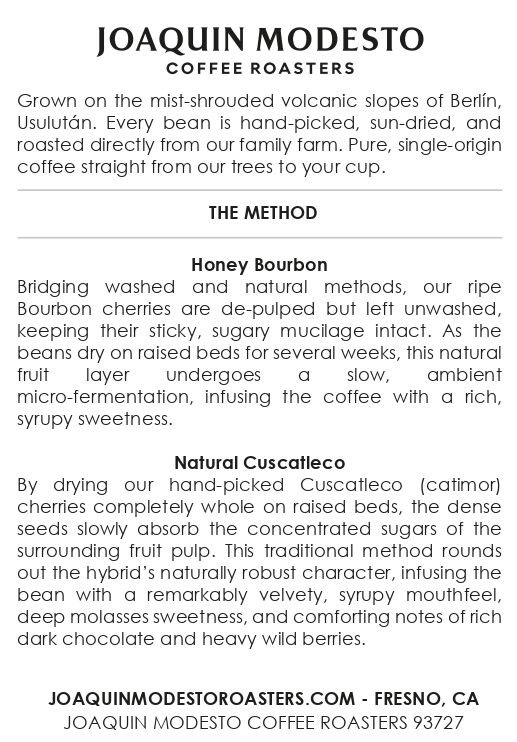 Alegria Blend | Medium Roast Bourbon & Catimor Blend