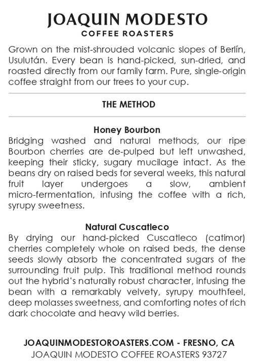 Alegria Blend | Medium Roast Bourbon & Catimor Blend